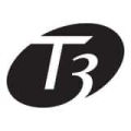 T3