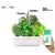 Veritable CONNECT Infinity Grey – Ihr Smart Indoor-Gemüsegarten für frische und aromatische Ernten das ganze Jahr über!